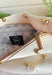 Everyone's favorite bag is back in a bold new design! The Studded Westlyn Bum Bag from Pretty Simple features the same hands-free style you love, now updated with eye-catching gold stud detailing for the perfect touch of edge. Crafted from soft vegan leather, this versatile bag can be worn as a belt bag or crossbody, making it the perfect companion for busy days, concerts, travel, shopping, and everyday adventures. Stylish, functional, and easy to wear, it's sure to become your new go-to accessory.