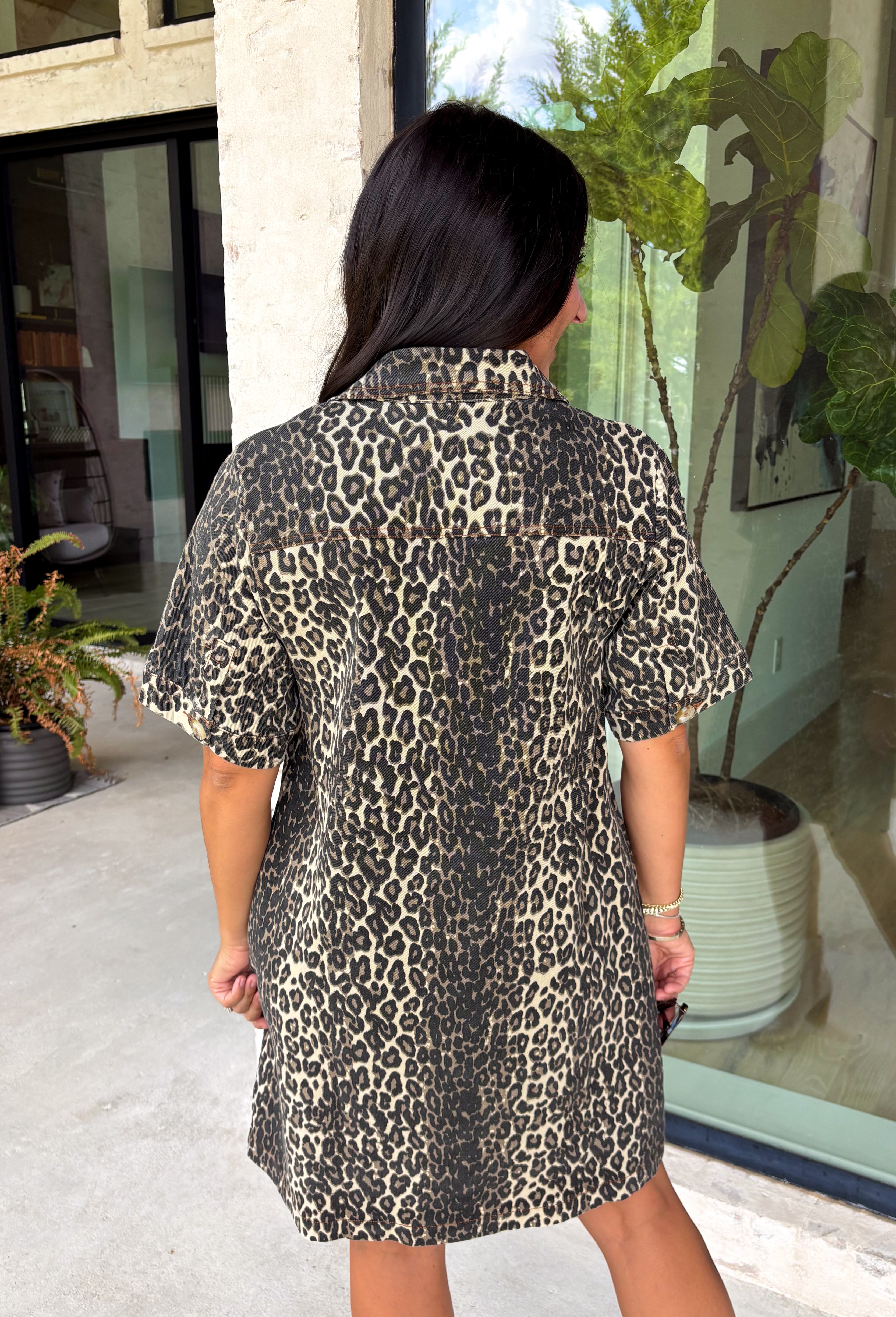 Wild Whisper Leopard Dress